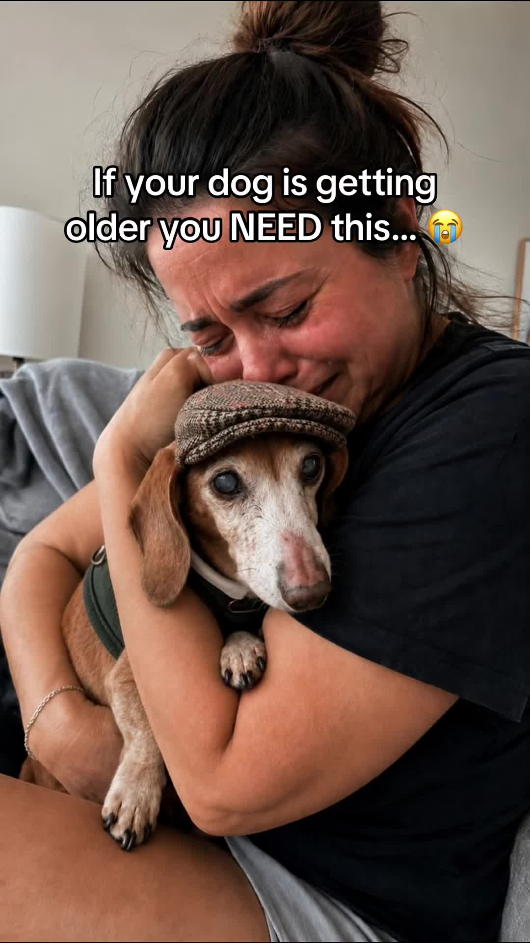 @SavlahPets