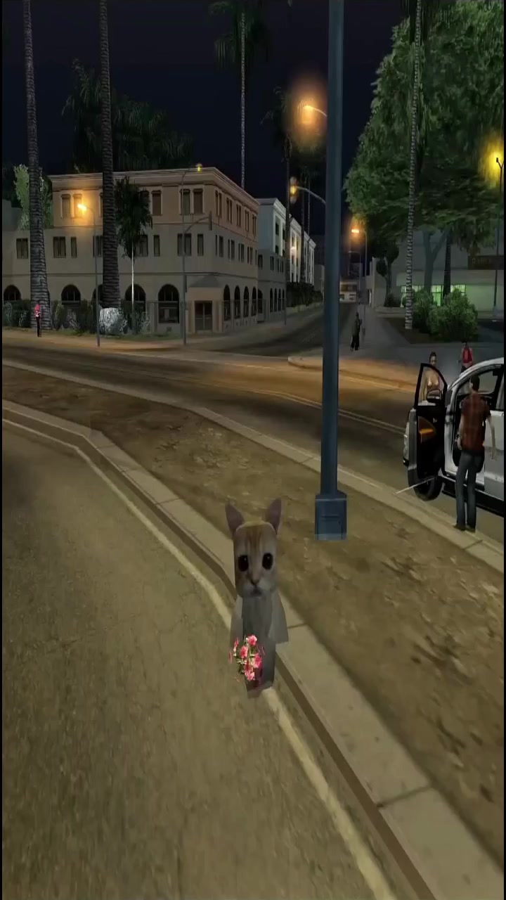 @rngo