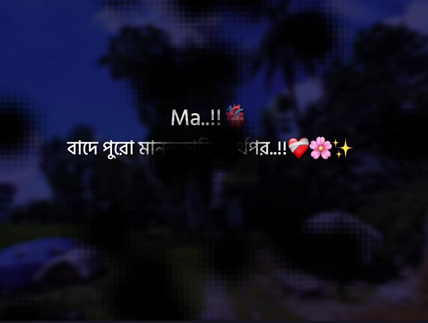@🌷🦋𝙹𝚒𝚑𝚊𝚍ツ🦋🌷