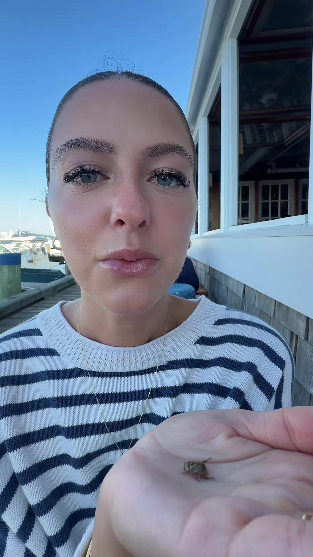 @tara lynn