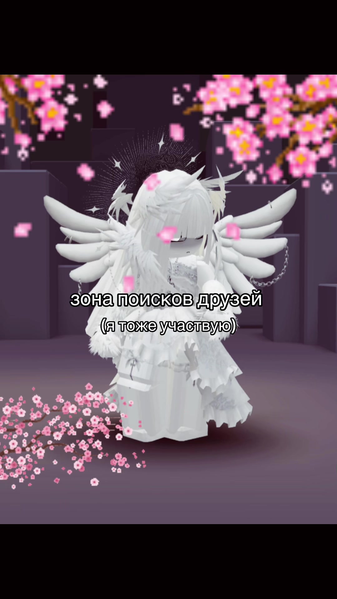 @⋆。°✩ 𝓐𝓷𝓰𝓮𝓵𝓸𝓬𝓱𝓮𝓴 ✩°。⋆
