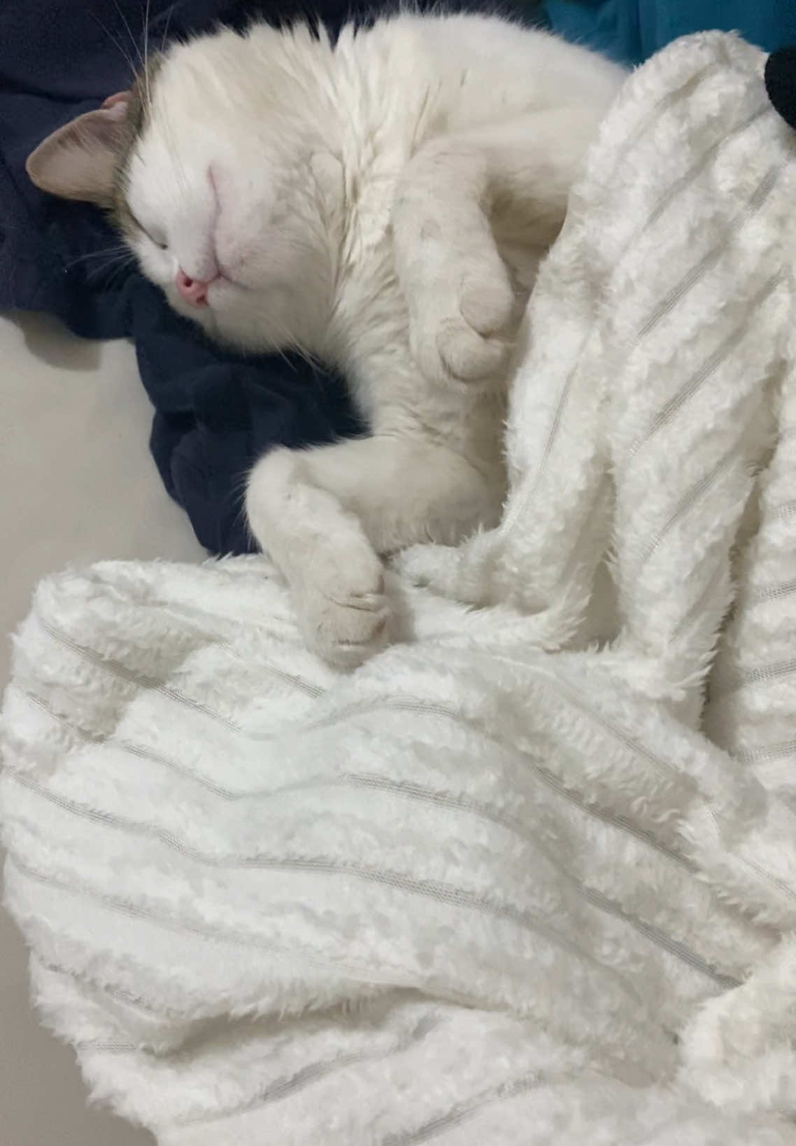 @Kiki