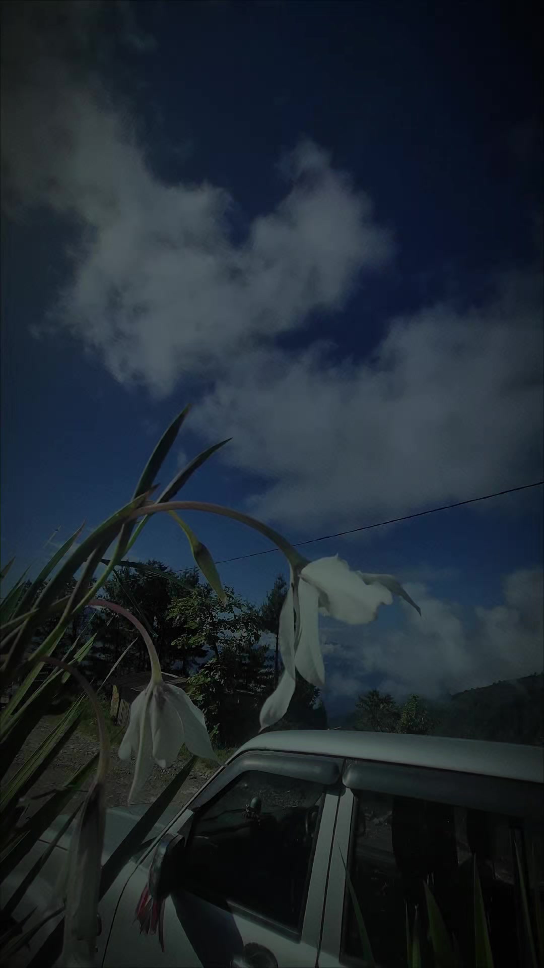 @PASHANG SHERPA