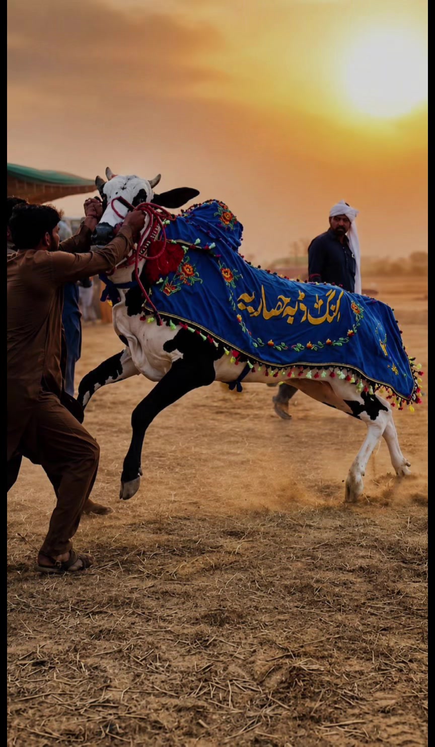 @راجہ عزیر حصار