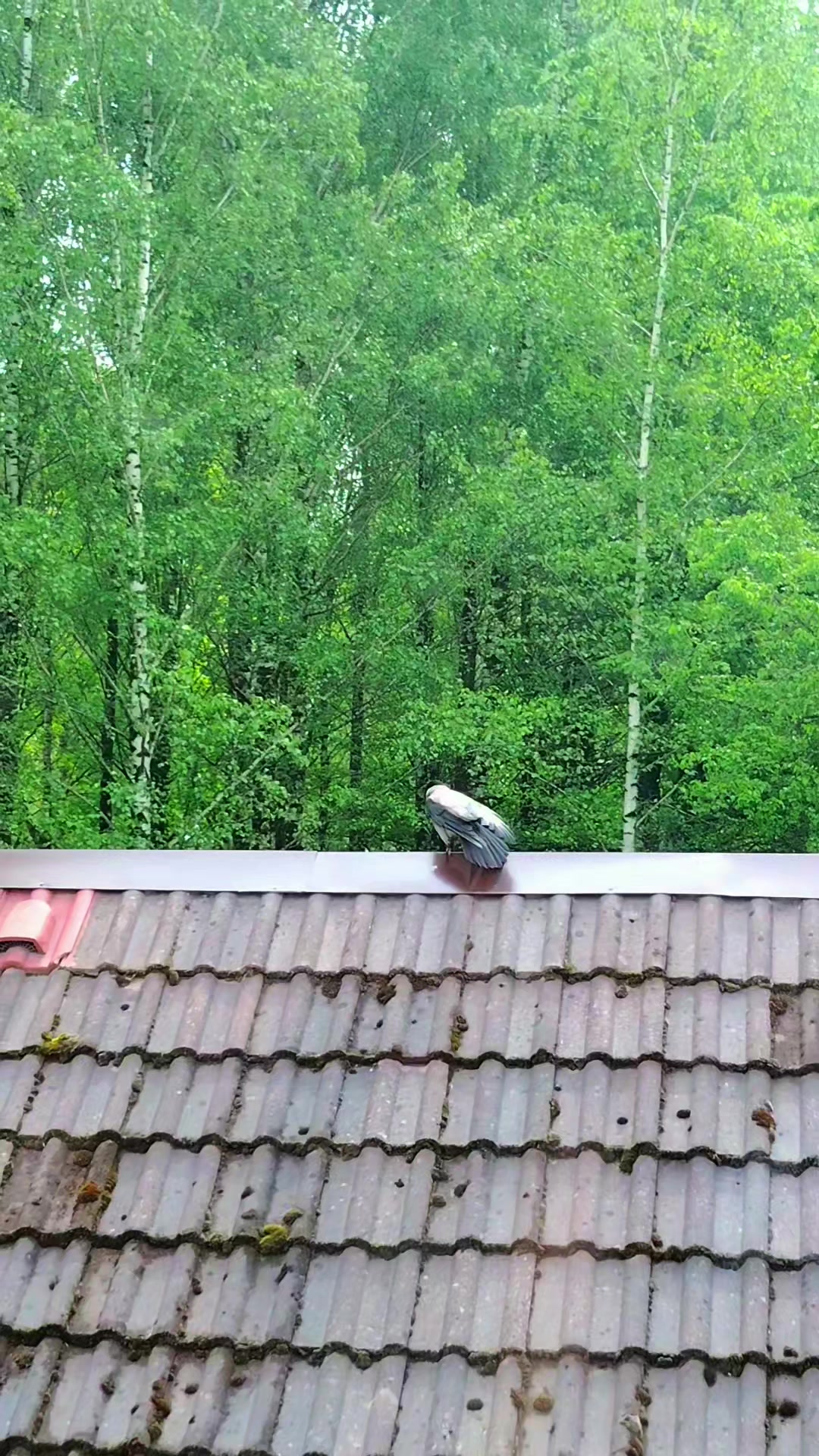 @Инна_🇧🇾🇧🇾🇧🇾_