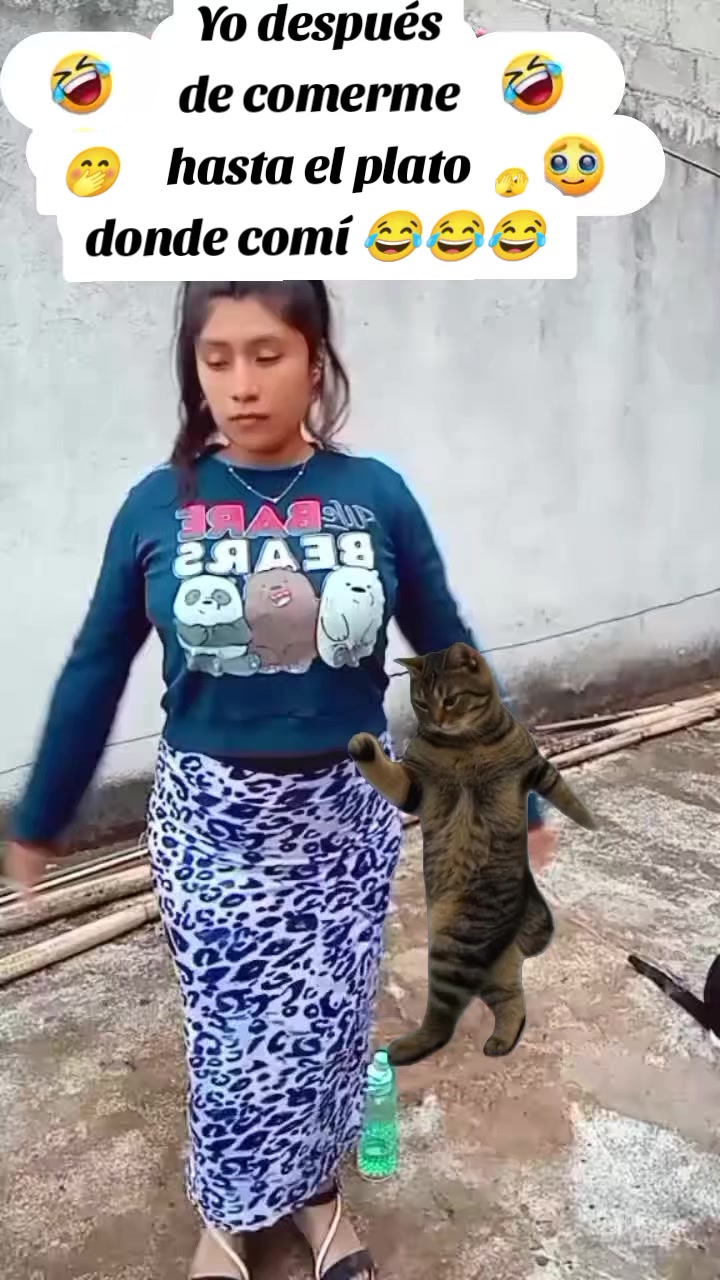 @memestristemariicruz🐈&zwj;⬛ 🤣😔