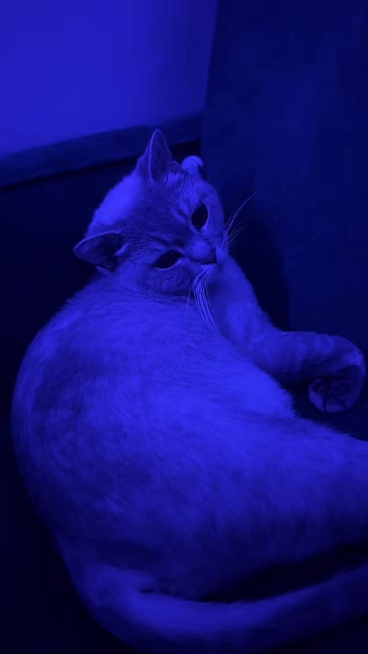 @betüş