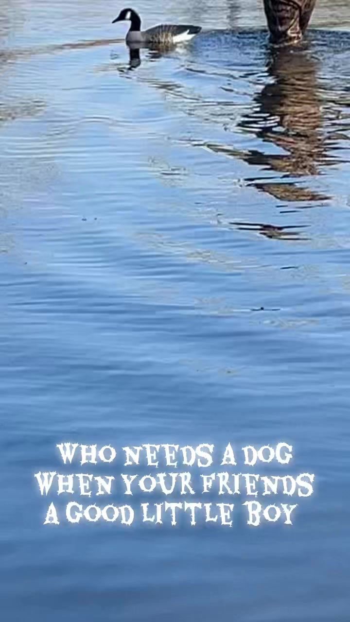 @KB 🦆🦌