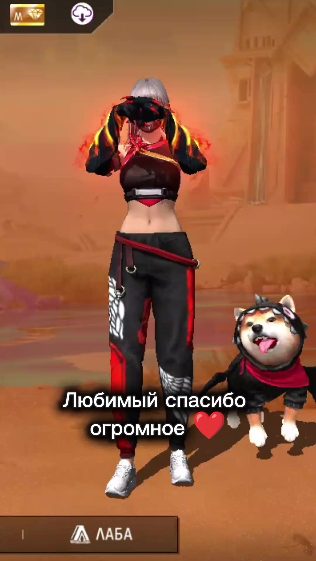 @꧁Момоᵗᵗ꧂
