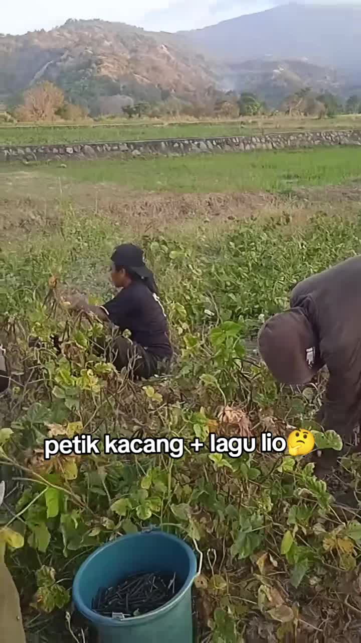 @Itha Simpul🤨