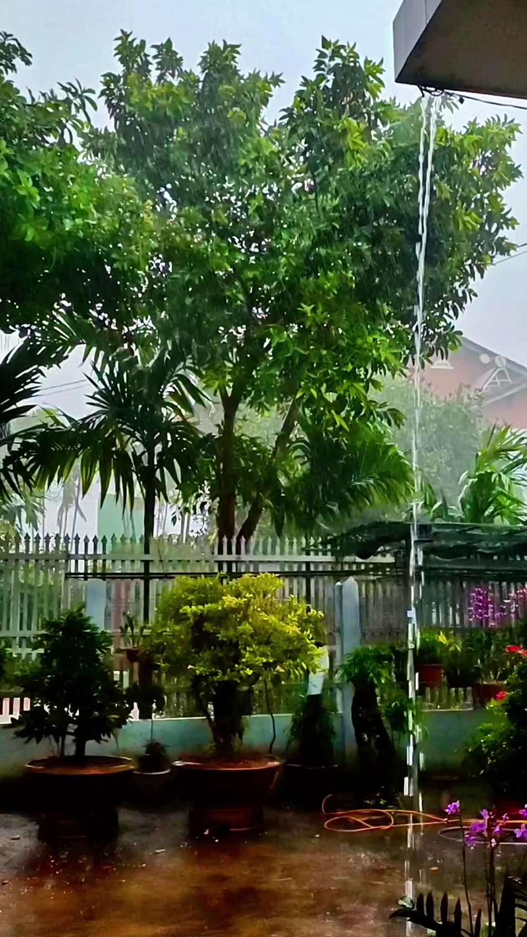 @Hữu.Nguyên 57