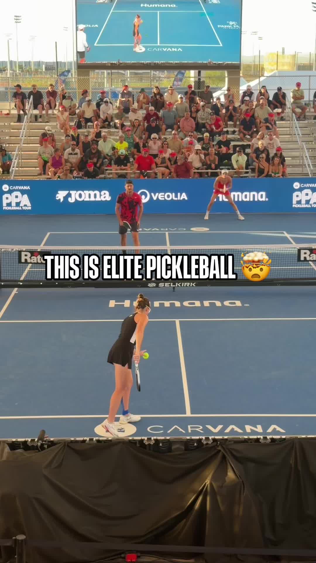 @pickleballdotcom