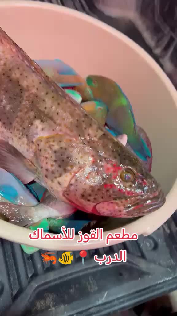 @مطعم القوز للأسماك.الدرب🧿