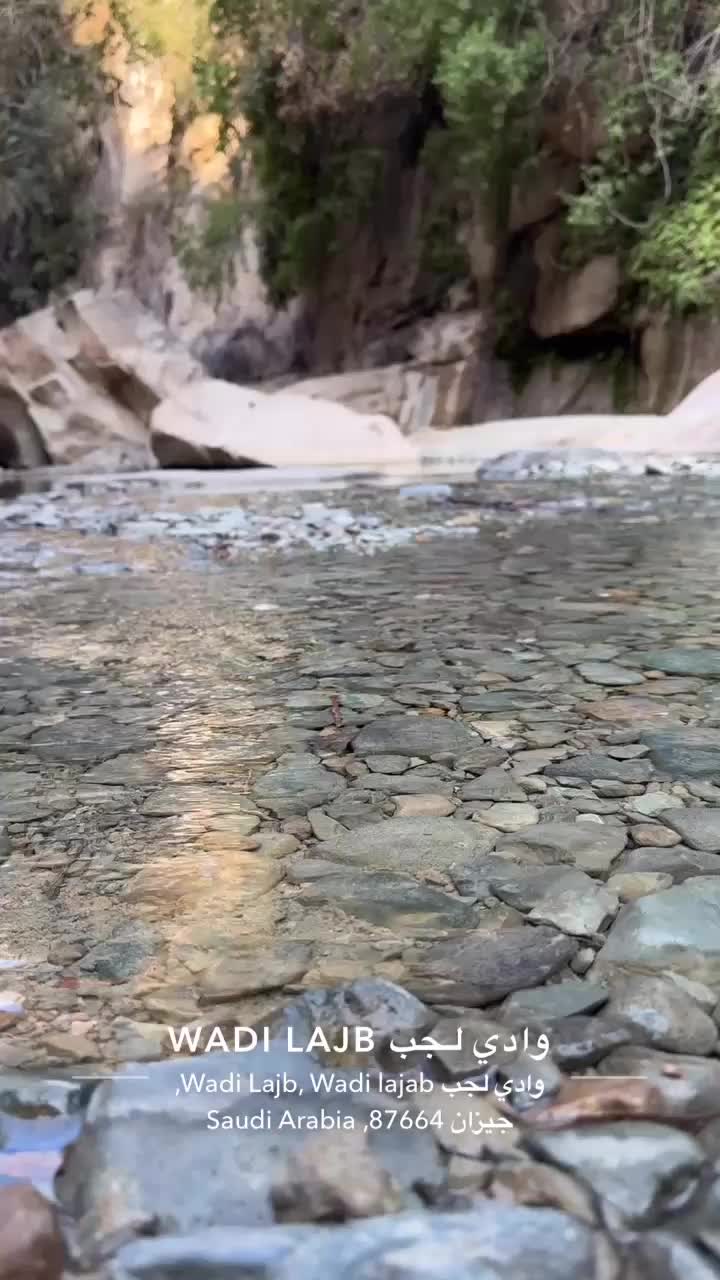 @عبدالله فيصل الرياحي