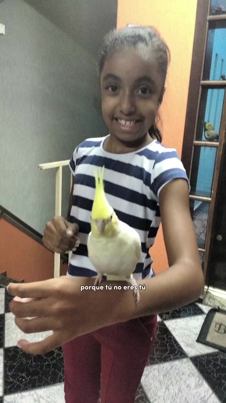 @Tiffy