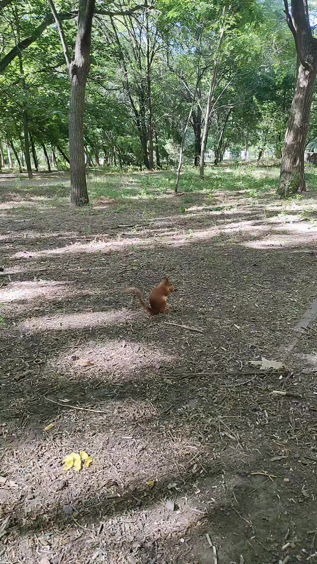 @Будьте щасливі
