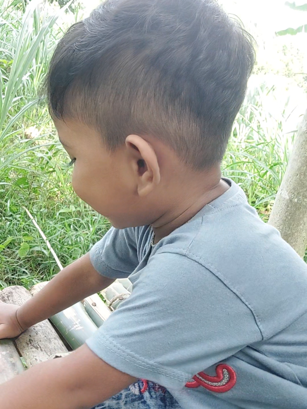 @সানজামুল ইসলাম সোয়াইব