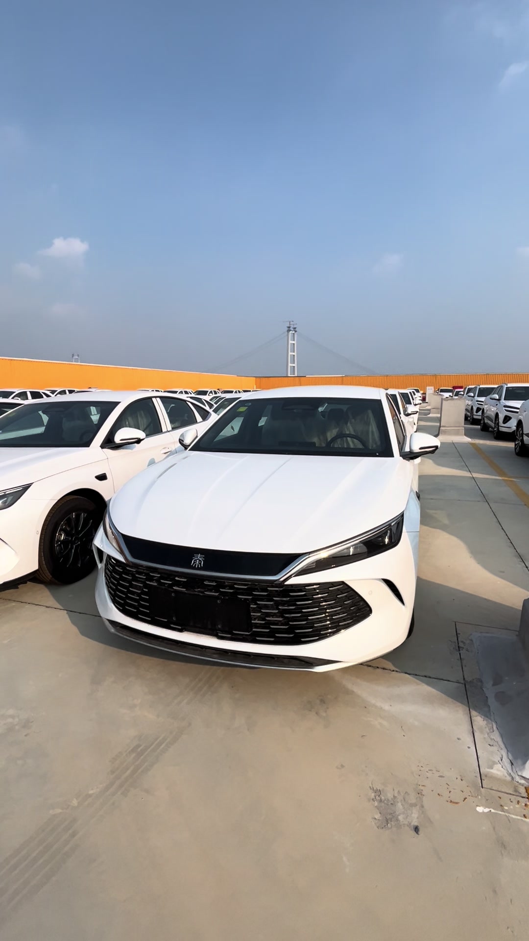 @China EV Export Cars Supplier