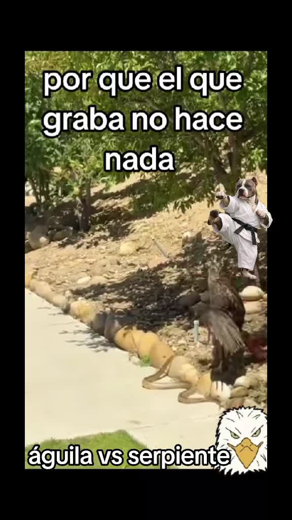 @rikum🇲🇽
