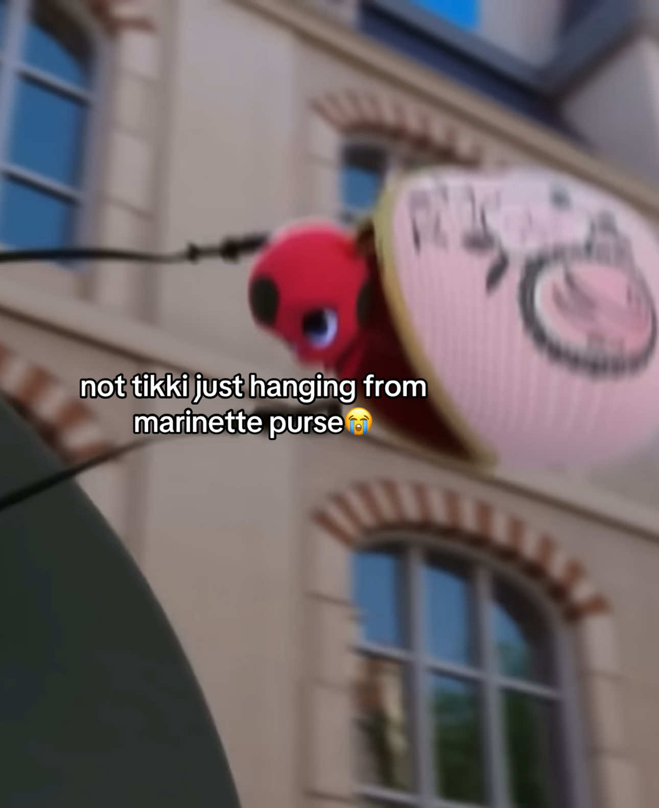 @🐞🐈⬛