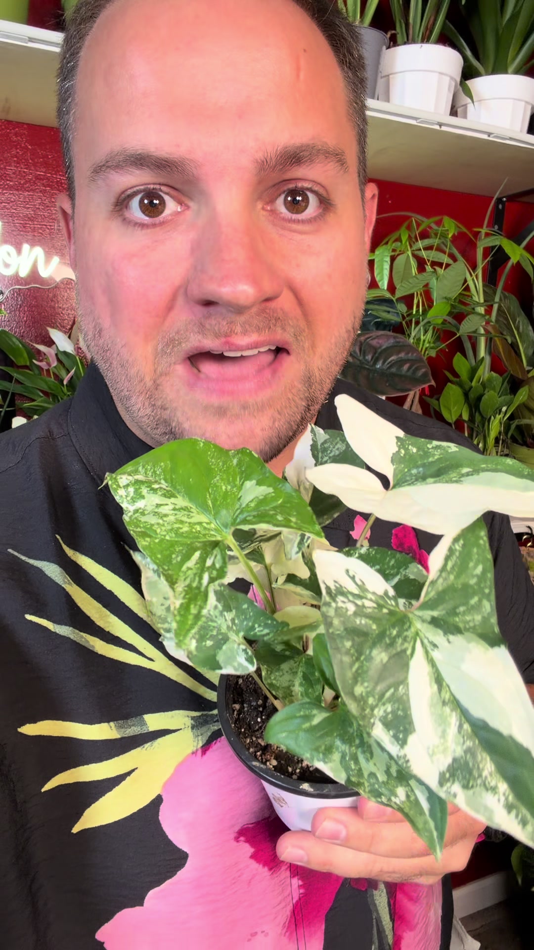 @Brandon The Plant Guy