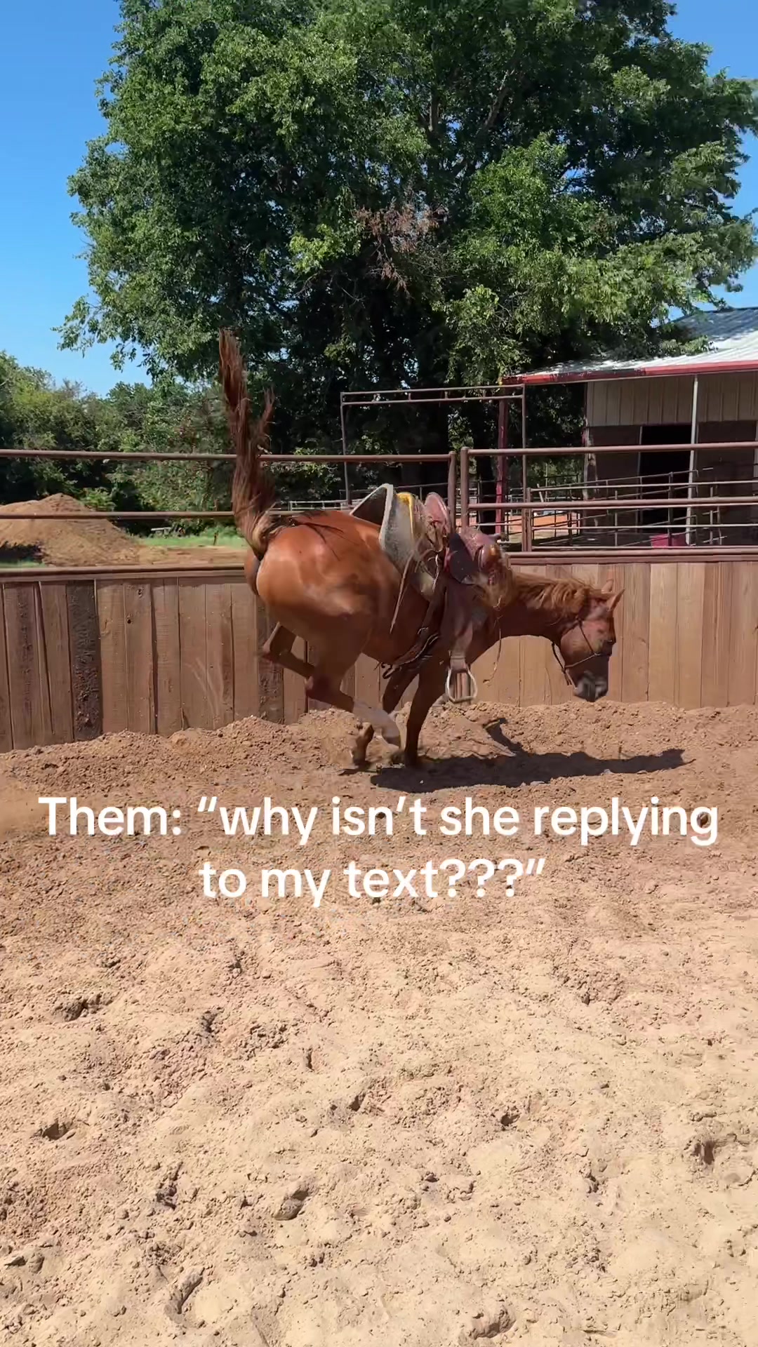 @kowpoke_kenzie
