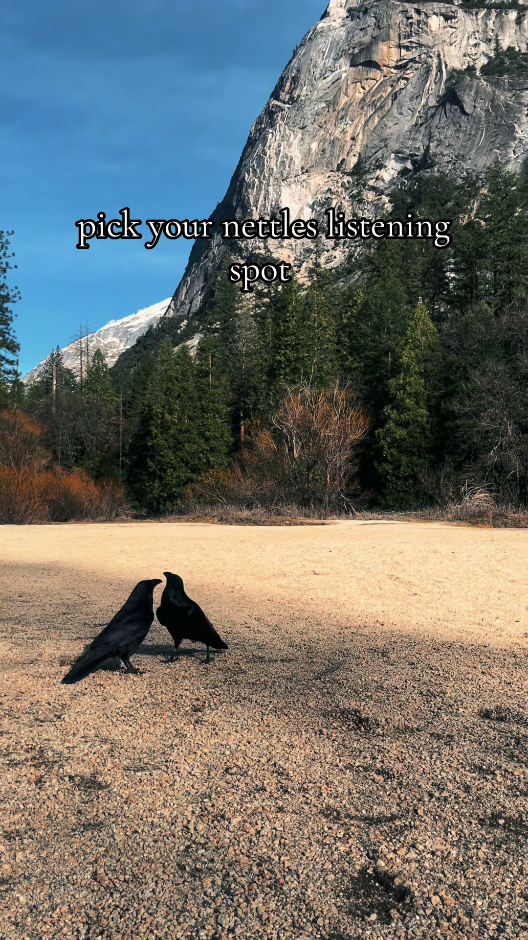 @des