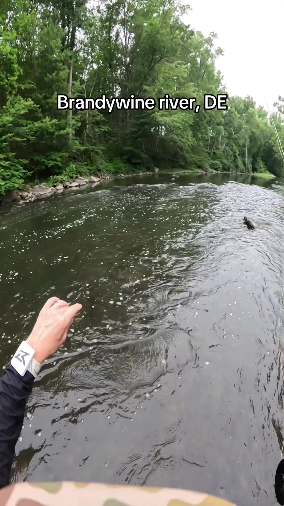@FlyFishDelawhere