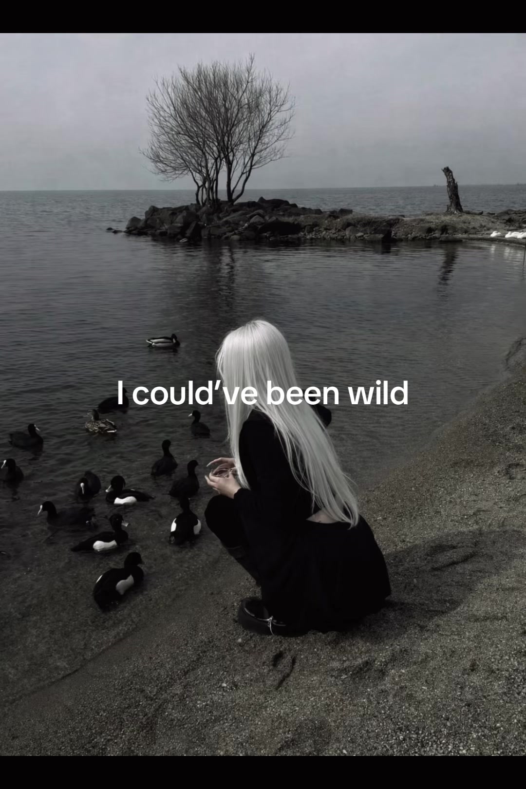 @De Noir🦢🖤