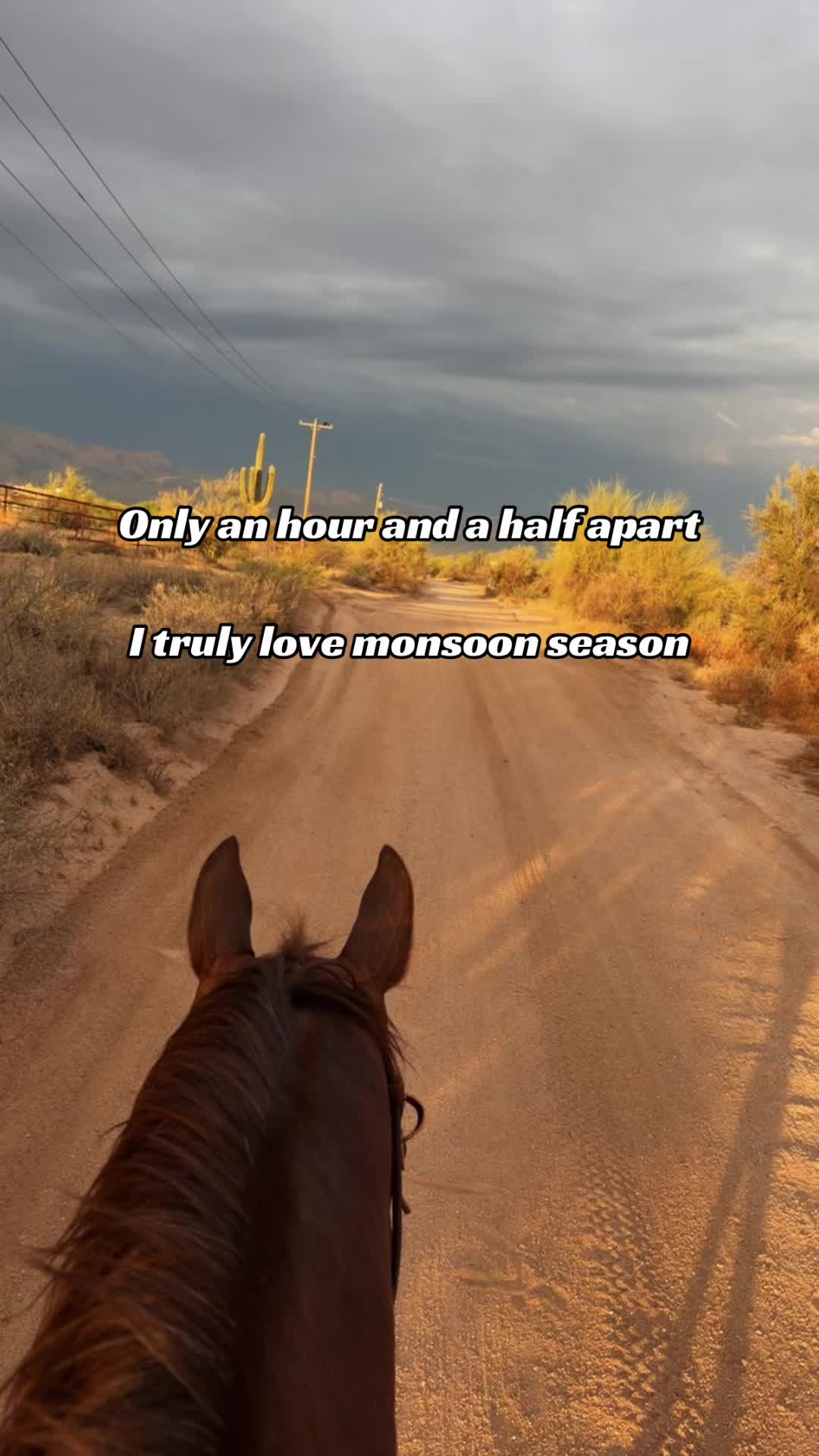 @Meghan Taylor