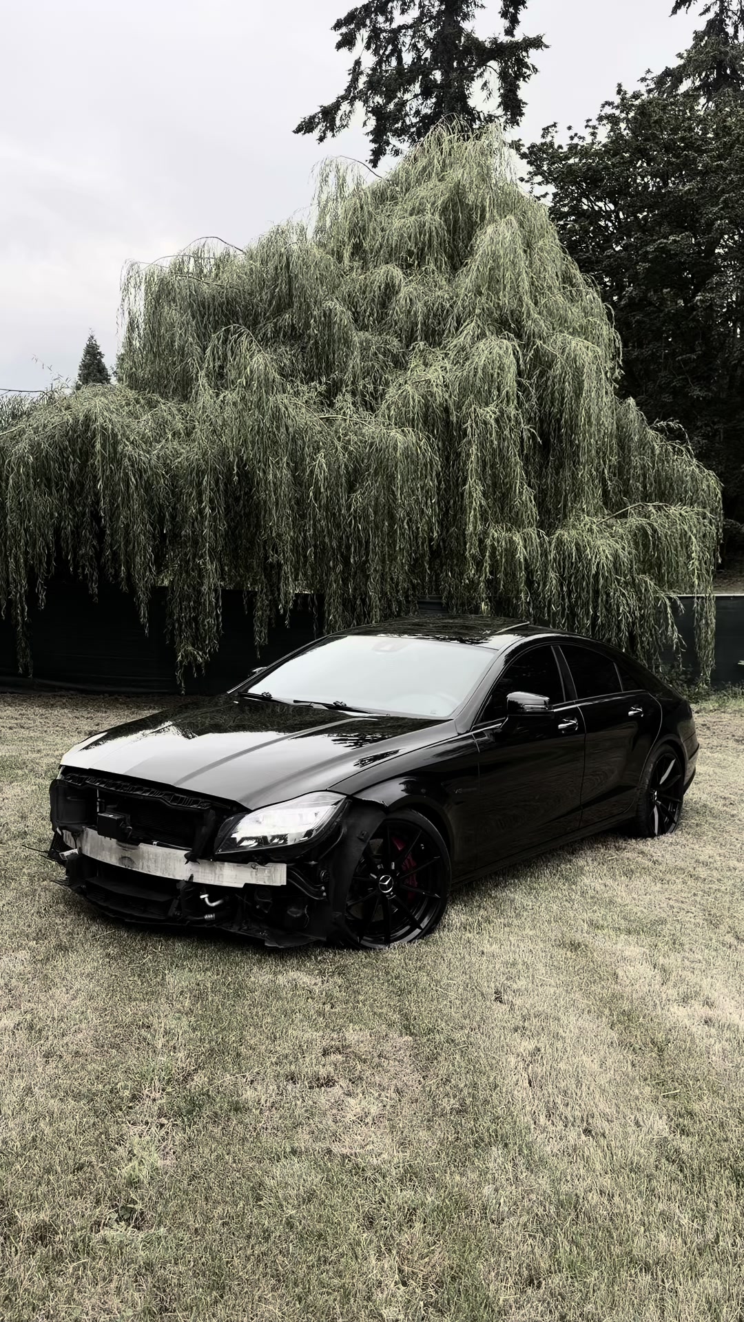 @Multov.77