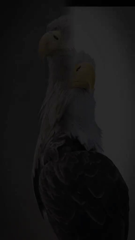 @🦅👑ahmed Al-eissawy👑🦁