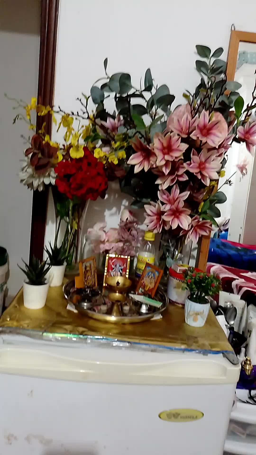 @manvi kaur