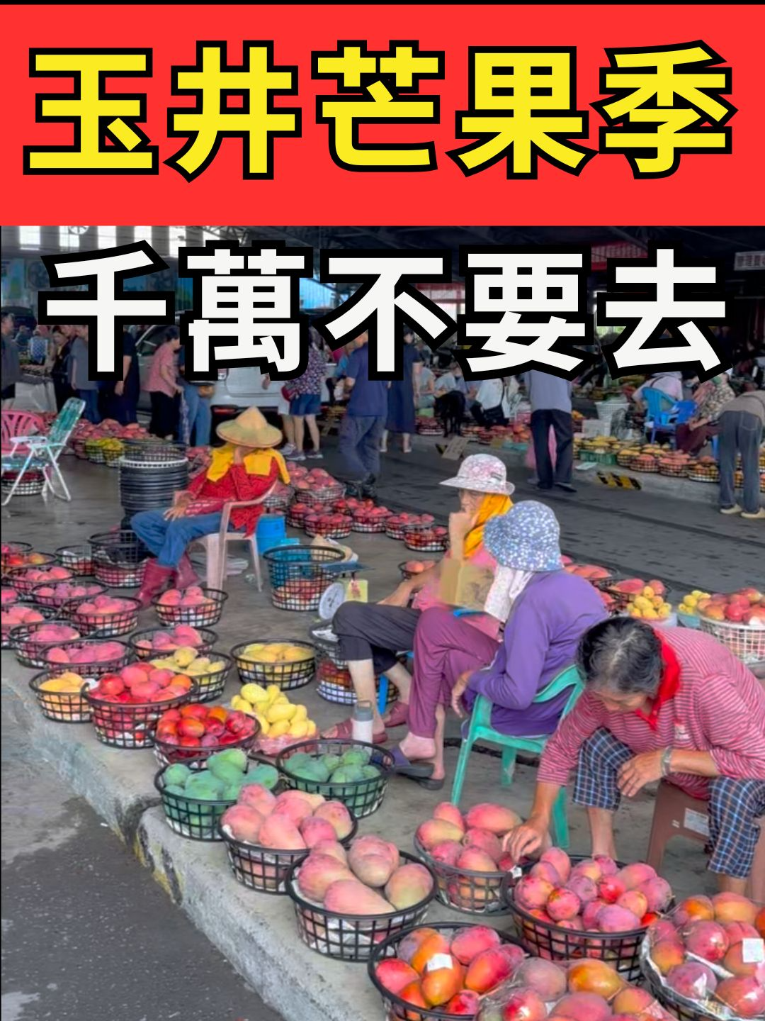 @招財魚水族精品