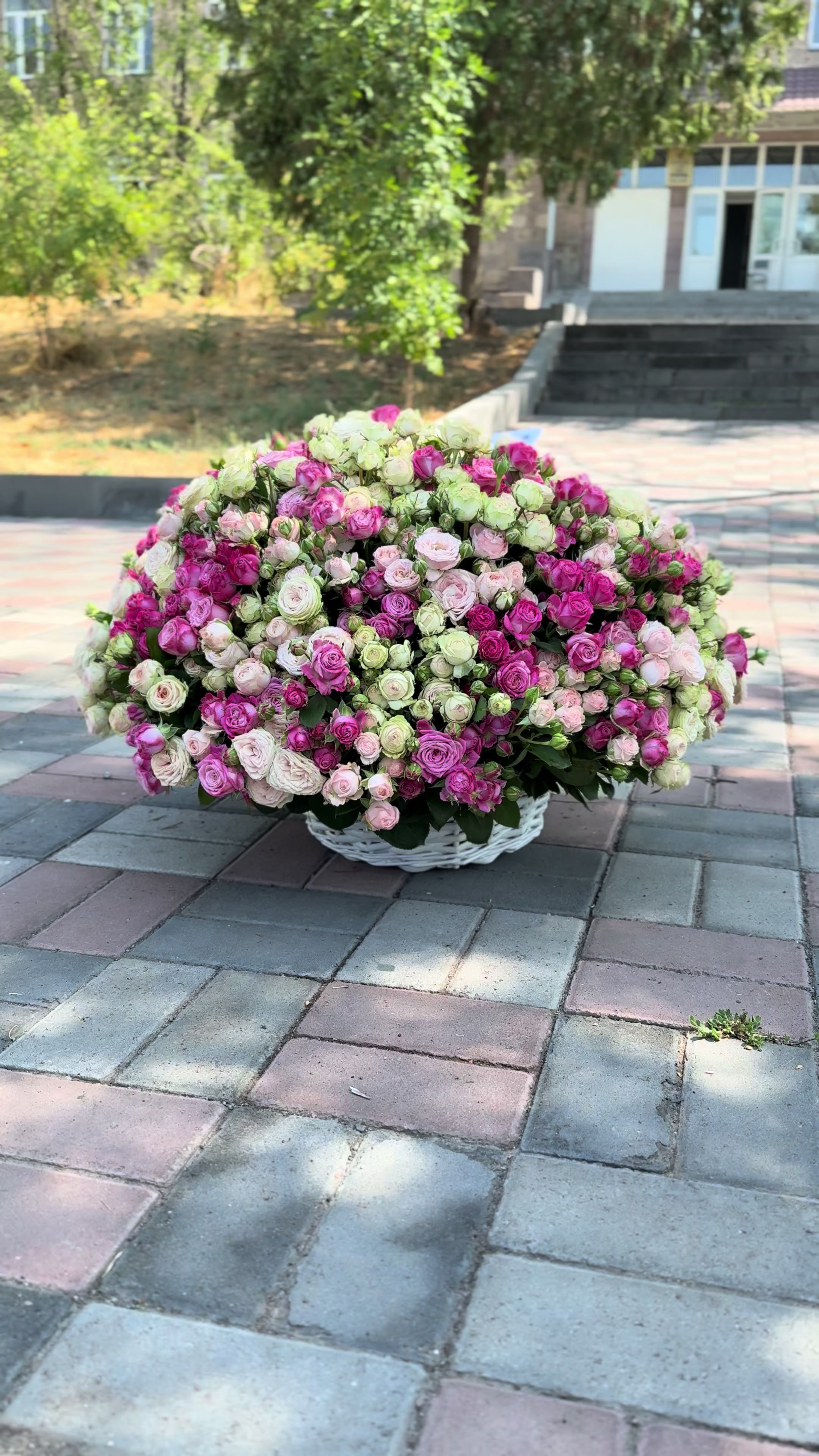 @Daisy_flowers_yerevan