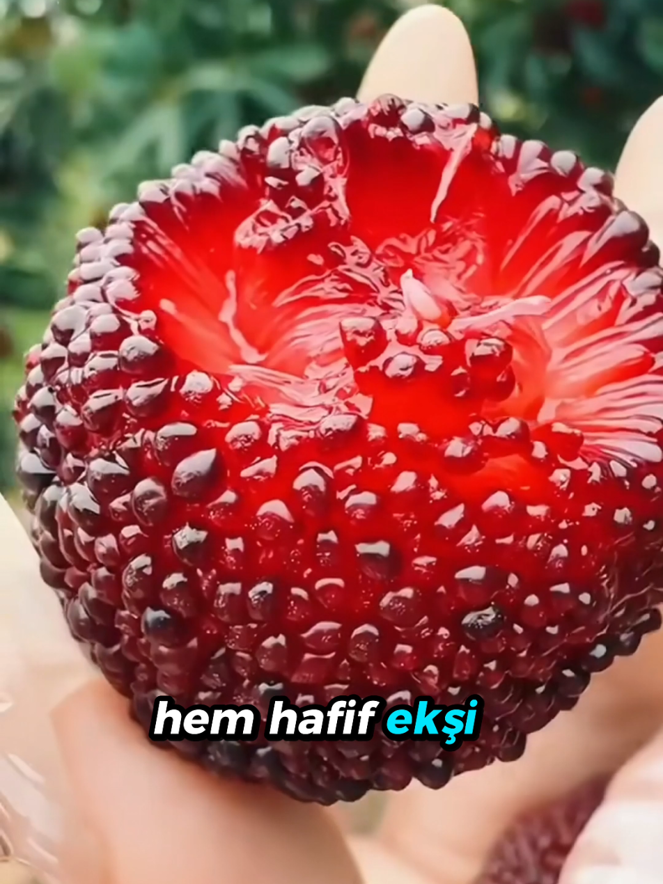 @beynegrafya