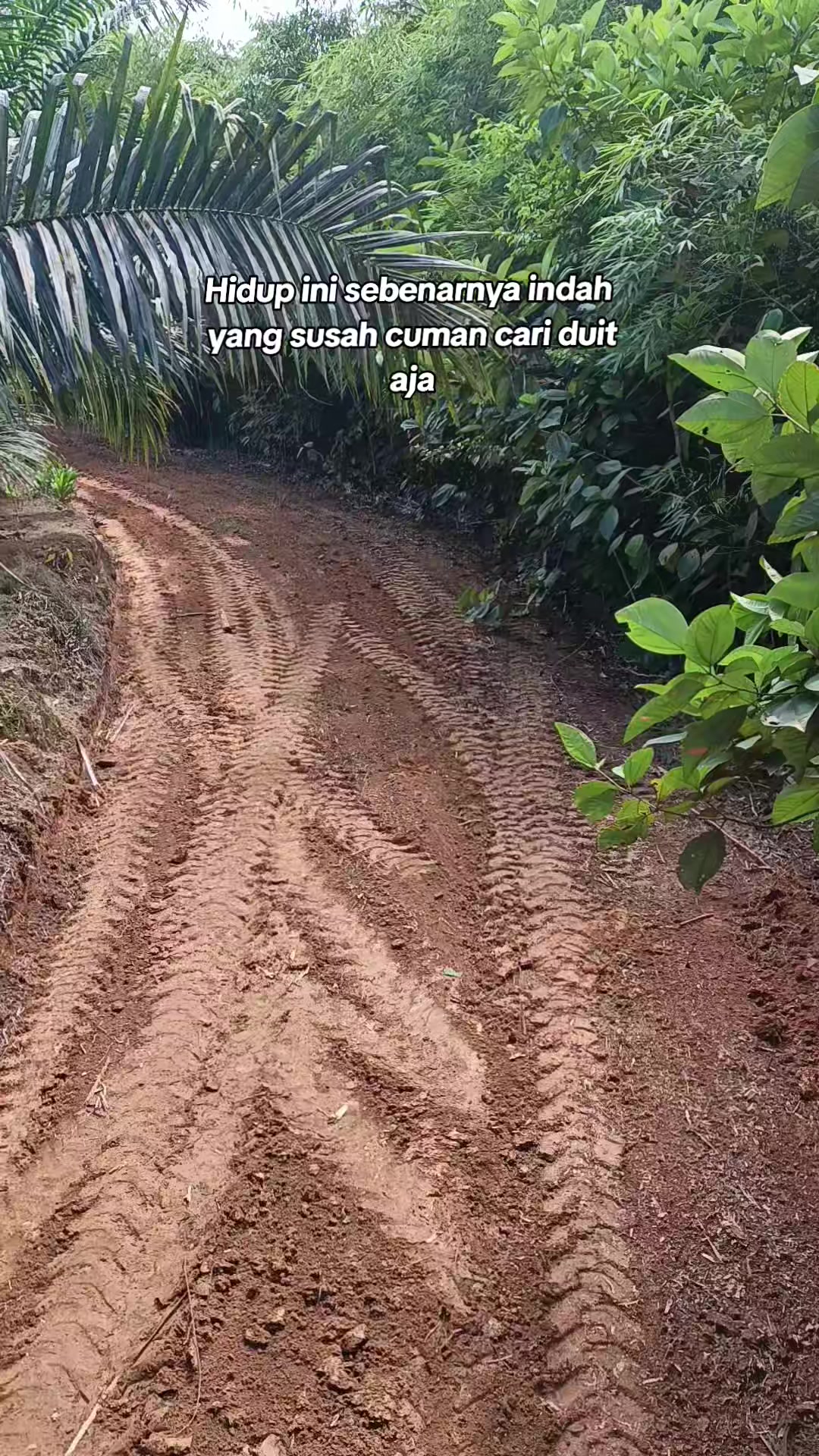@Bongkek 439