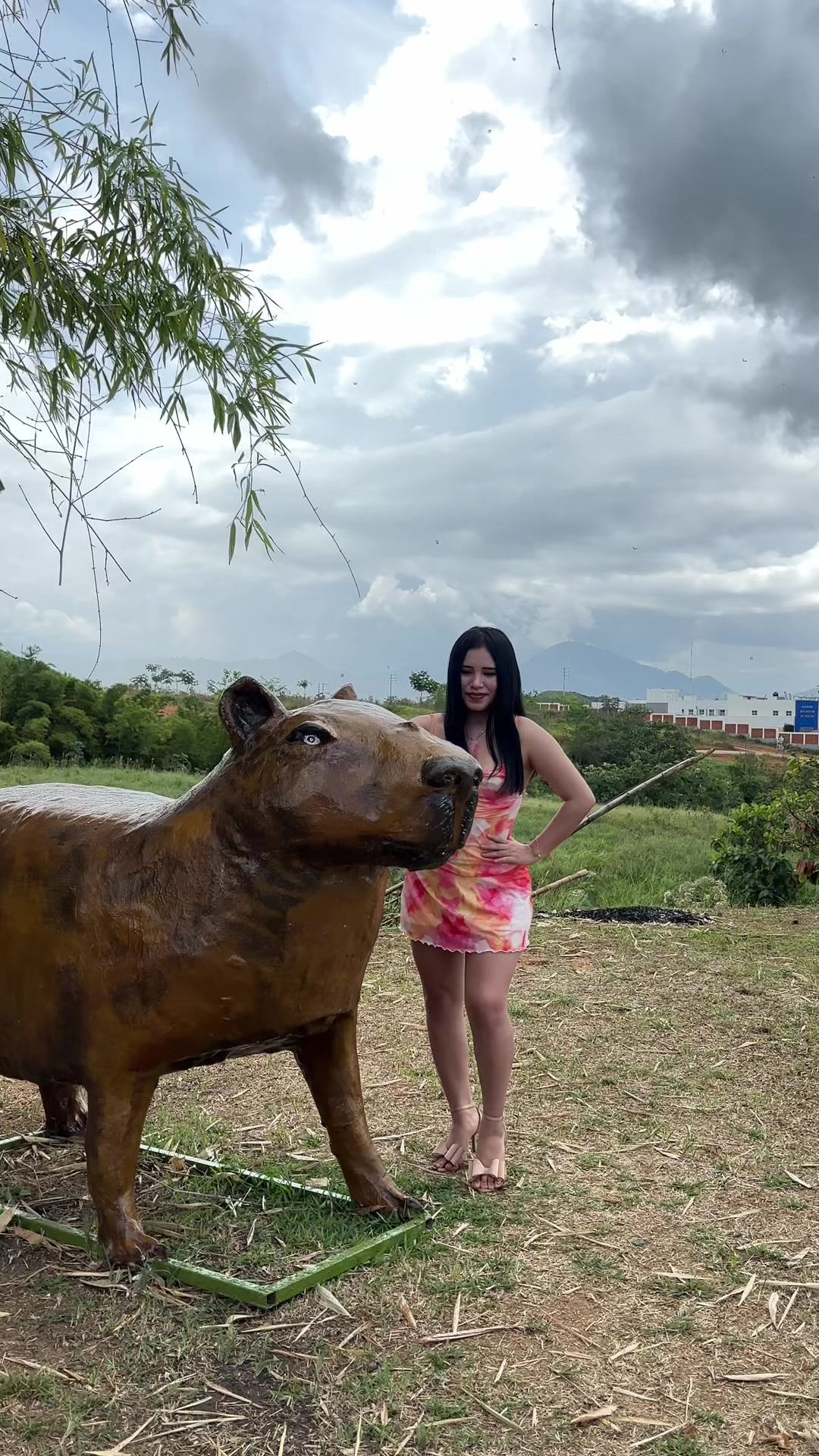 @Dayli 🎀🦕