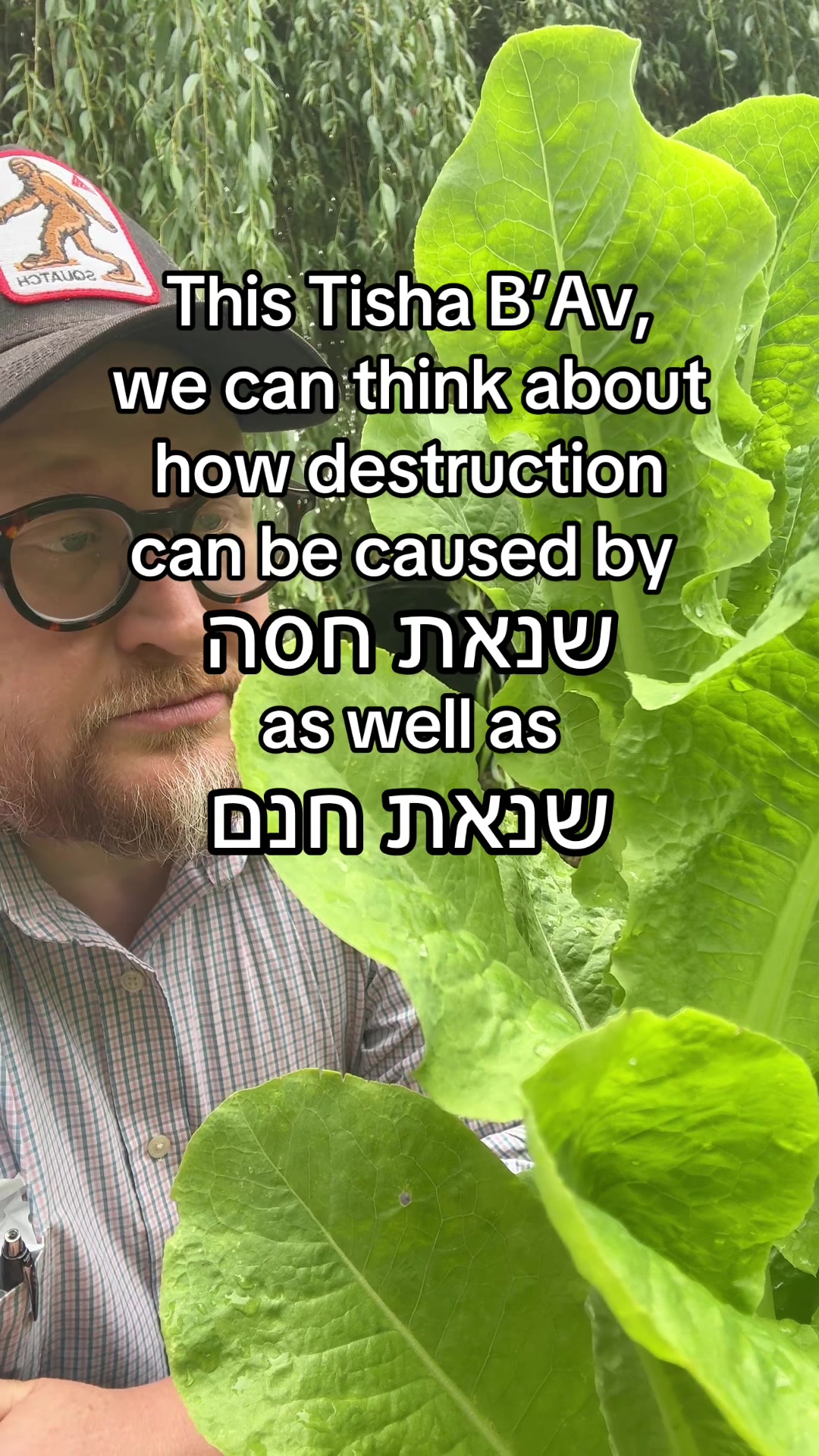 @Rabbi Seth Goldstein