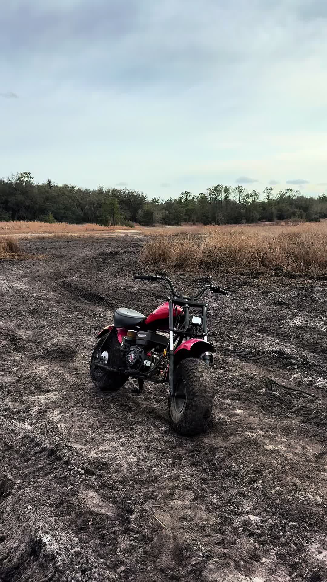 @Kelbo💦