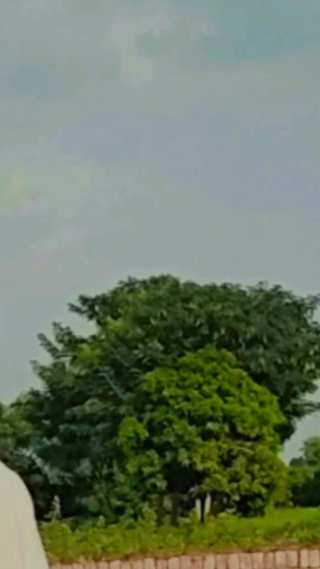 @عمران گجر