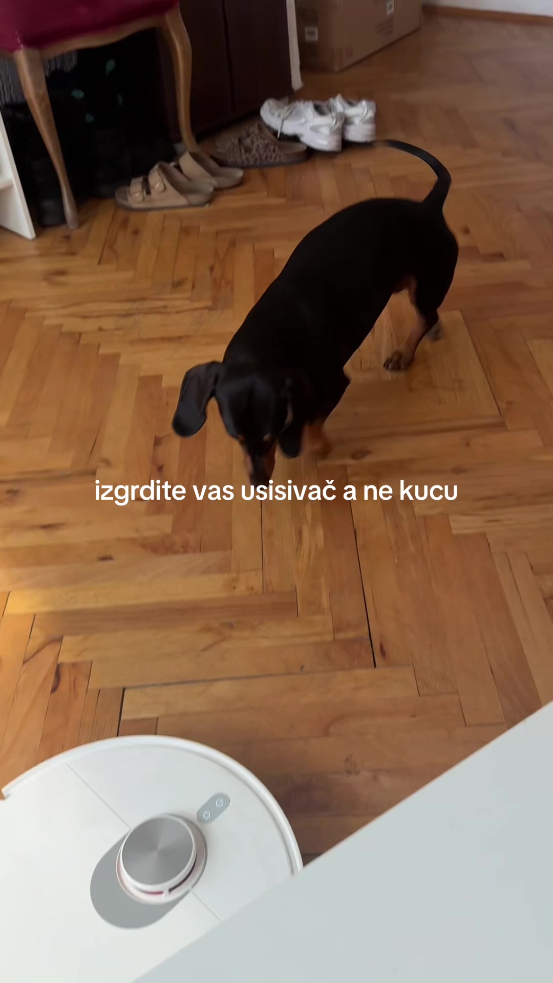@Minja Varsaković