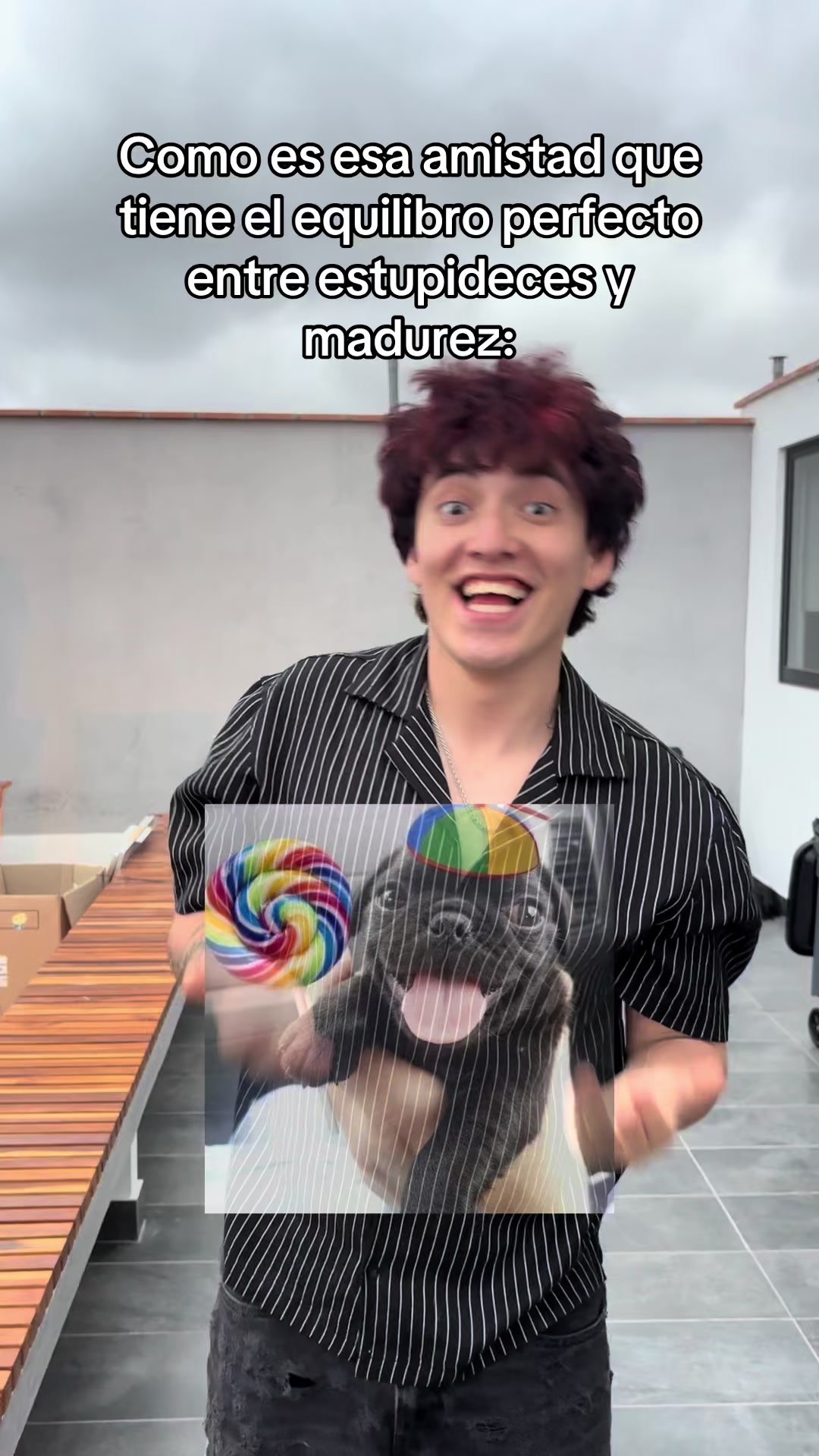 @Sr Pollito