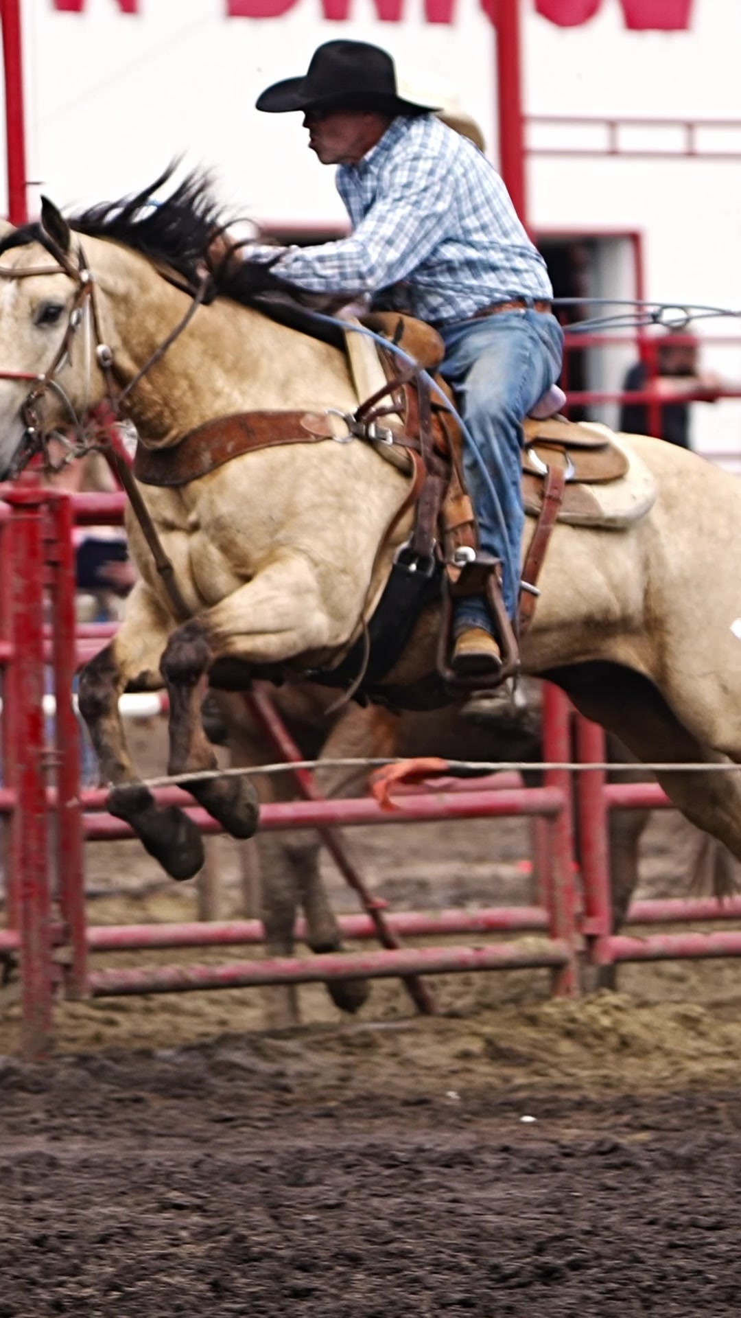 @Hanginghorses