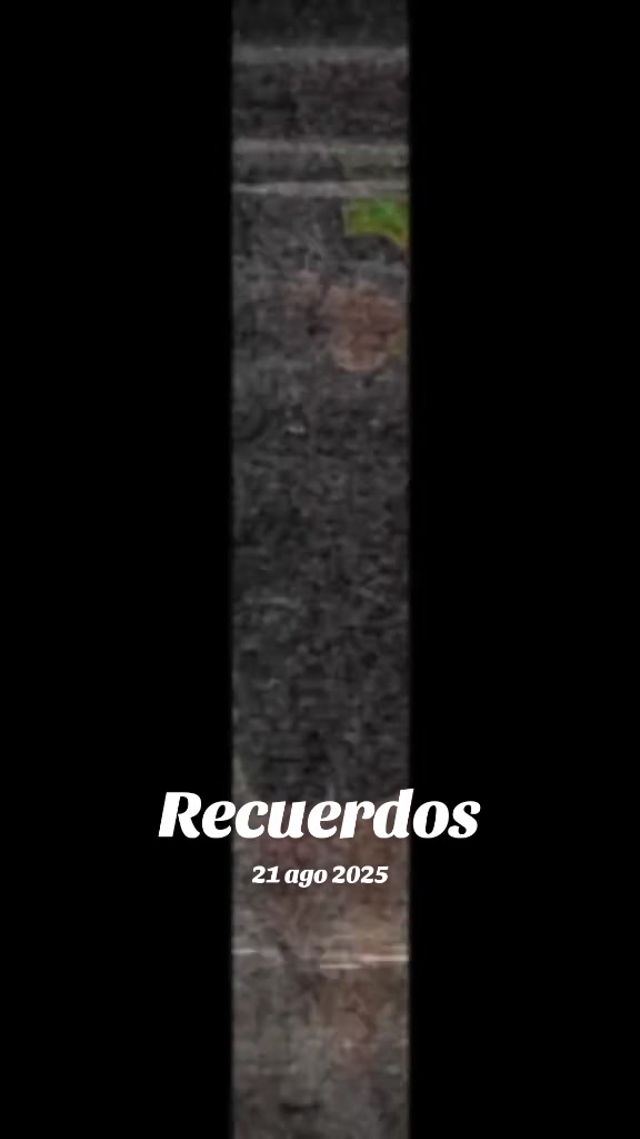 @Tiki🇲🇽