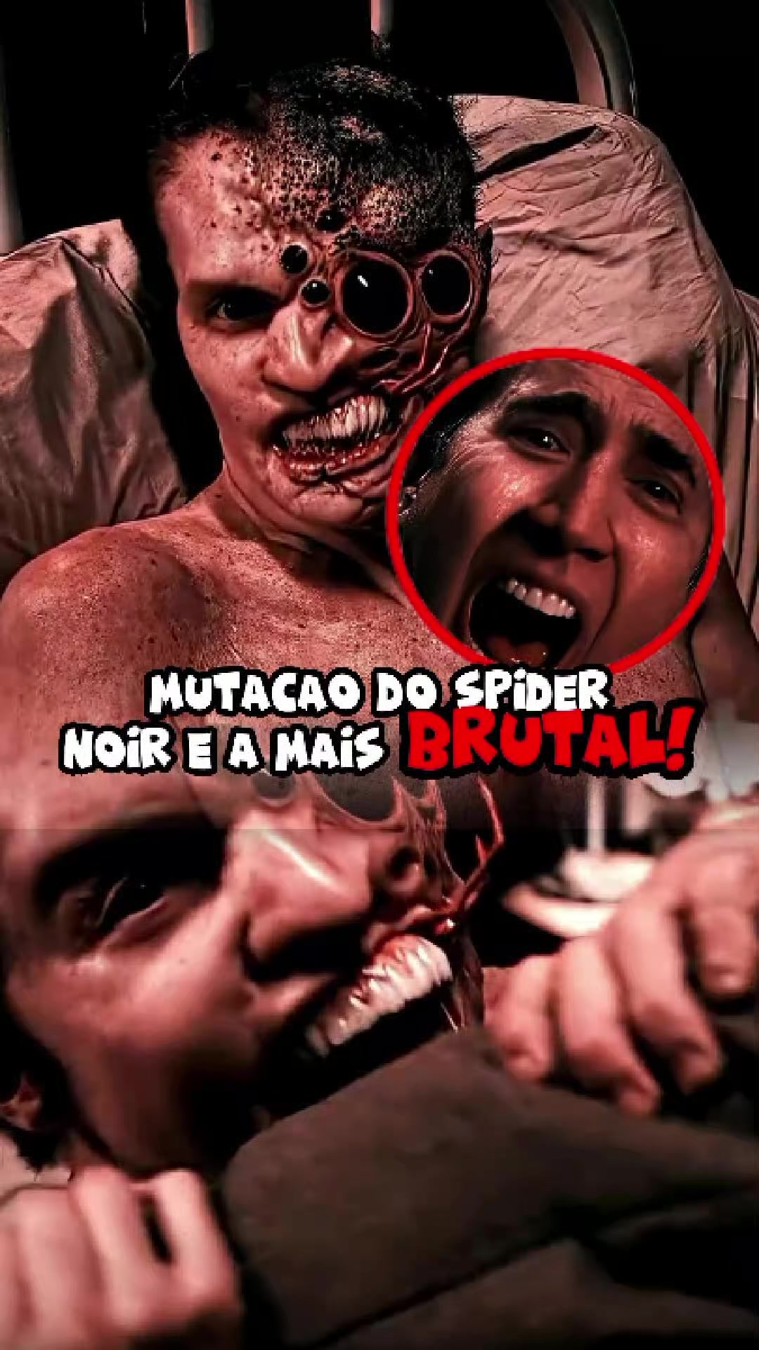 @Montanha_Geek