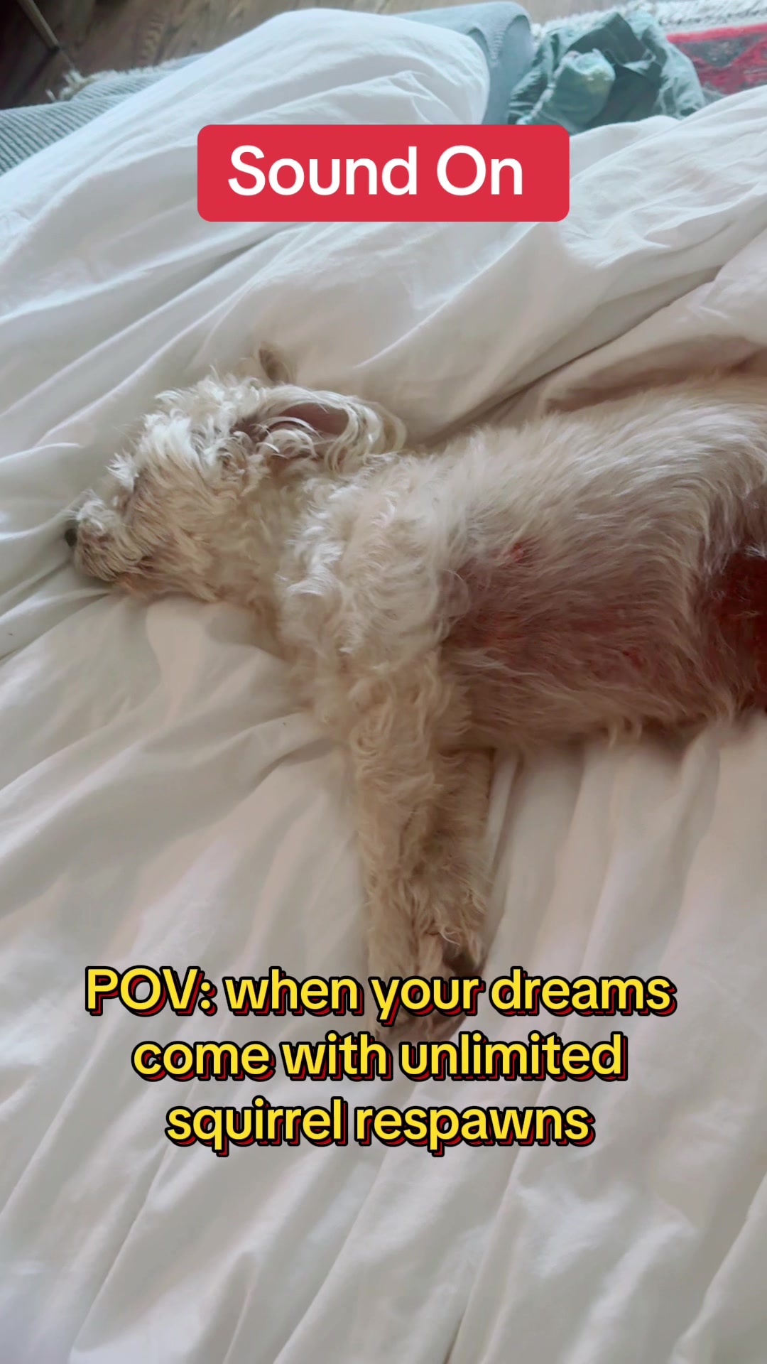 @Zoey Kay
