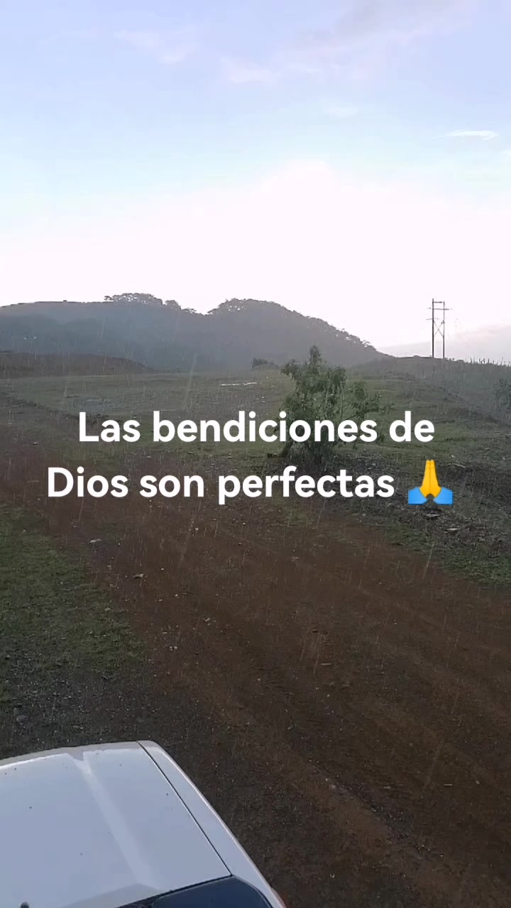 @eliza LM