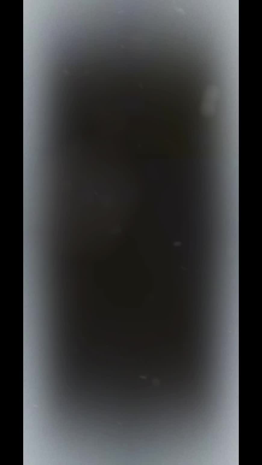 @トウバンゴ アリザ