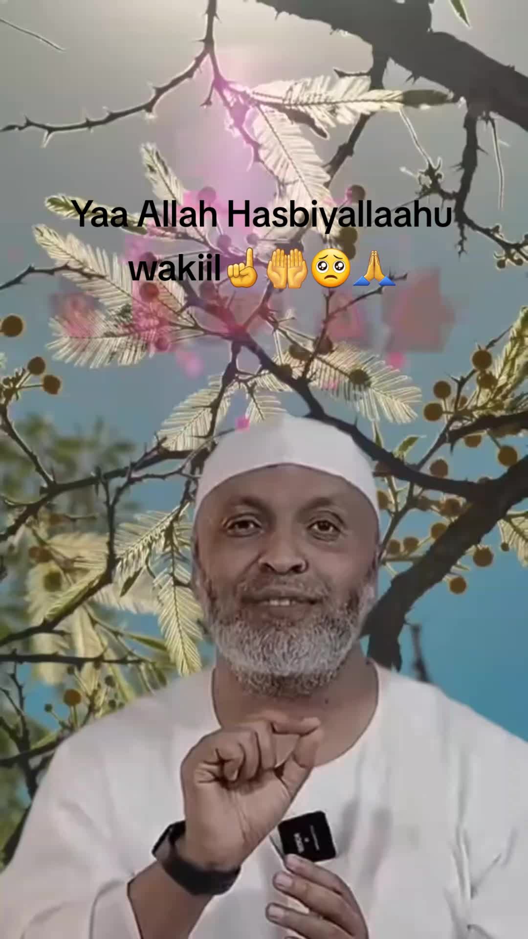 @Yeroo San